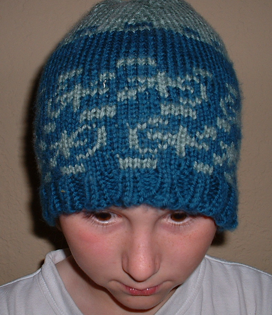 Gecko Hat and Headband