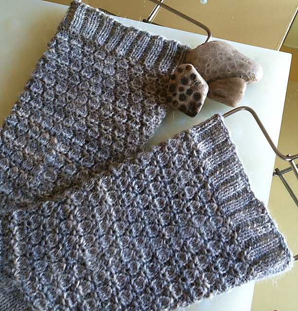 Petoskey Stones