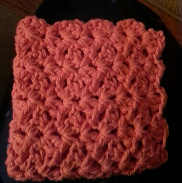 Bushy Stitch Dish Cloth