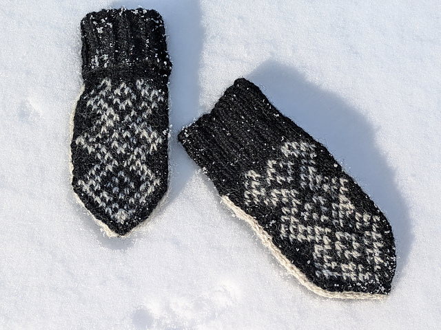 Sesqui Youth Mittens