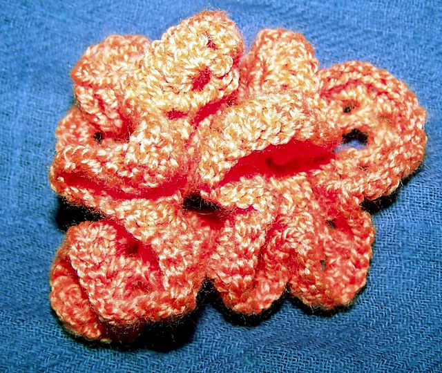 Crocheted Coral Brooches