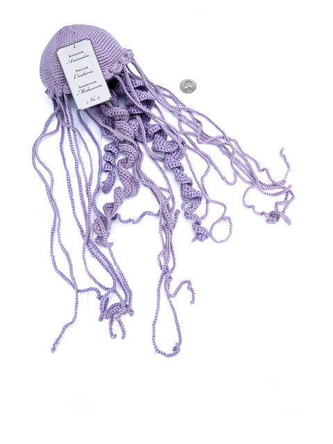 Jellyfish Specimen No. 5