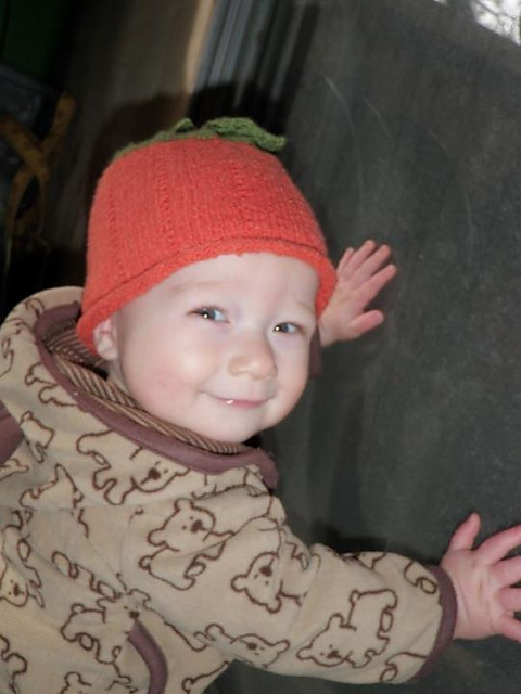 Vine & Leaf Pumpkin Patch hats