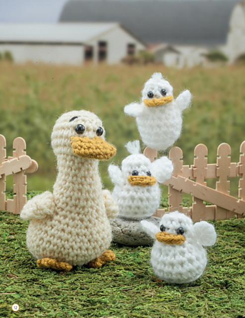 Ducks and Ducklings