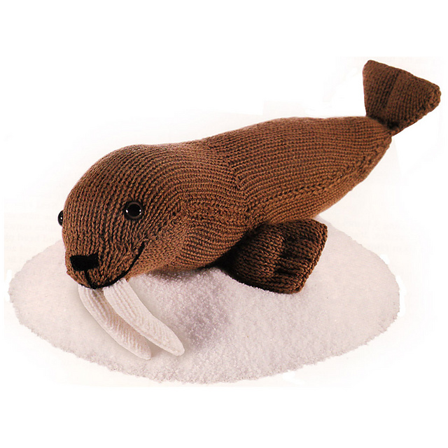 Walrus