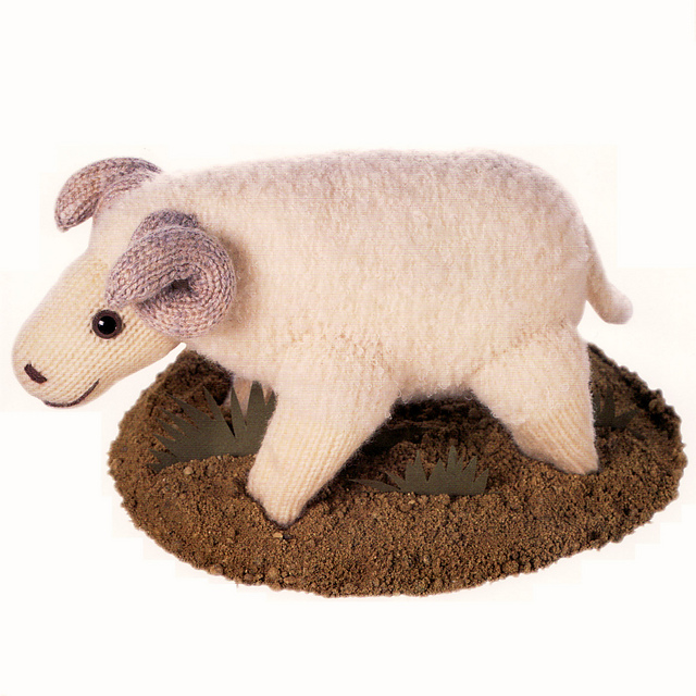 Merino Sheep