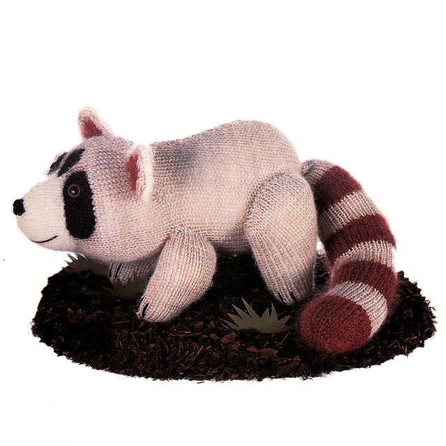 Raccoon