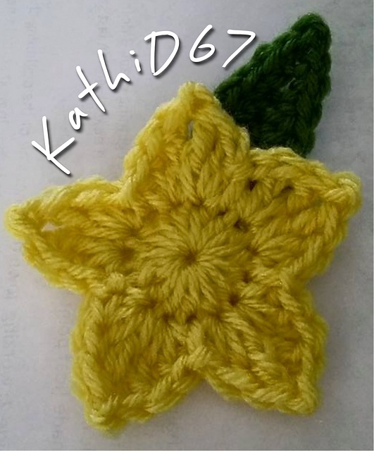 Paopu Fruit Hair Barrette