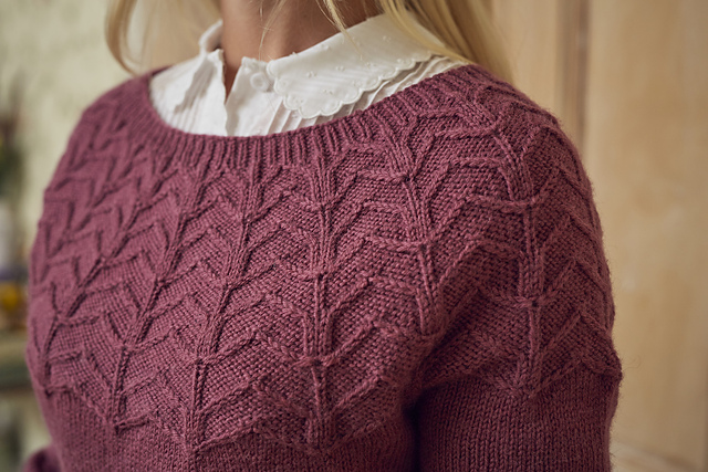 Farthingstone Jumper