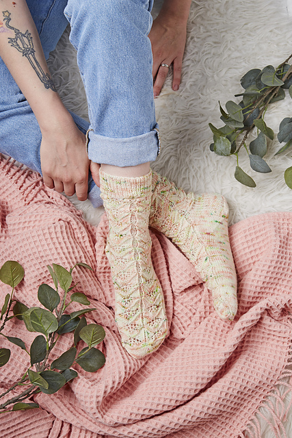 Dianthus Socks