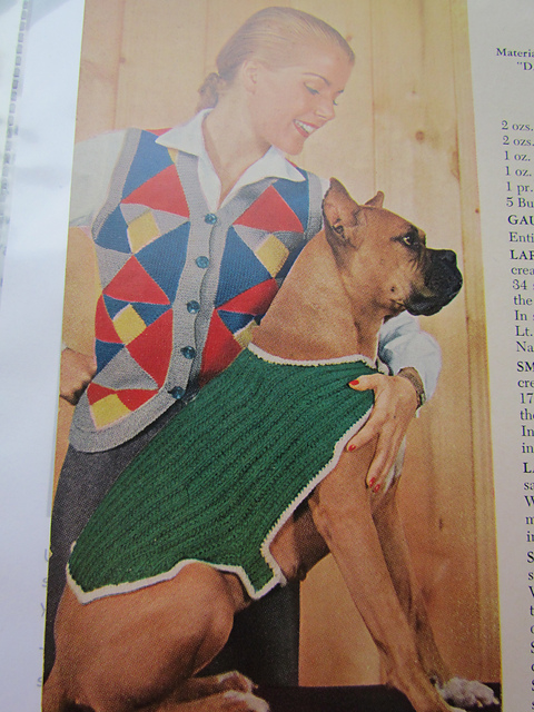 Dog Blanket