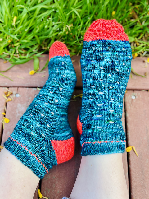 Darwin Socks