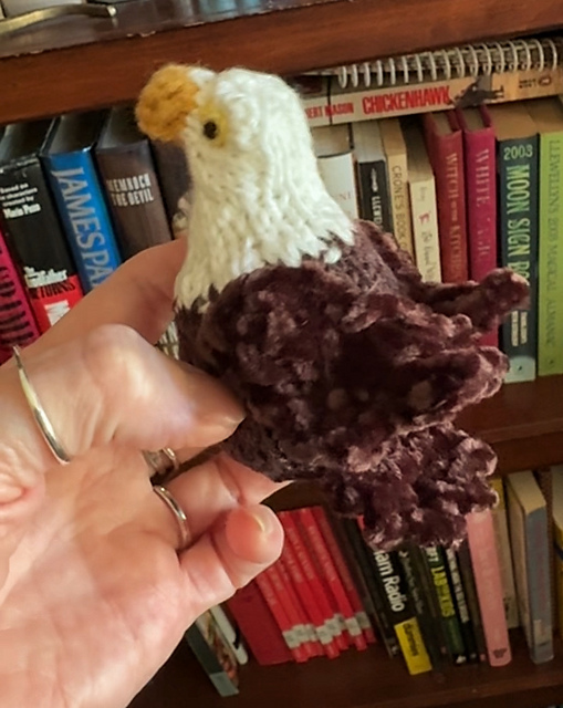 Bald Eagle for Celebrating