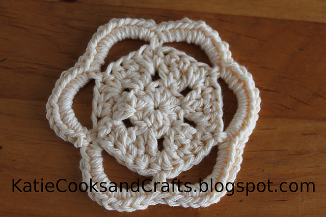 Sand Dollar Coaster