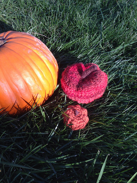 Earthy Autumn Pumpkin