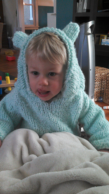 Bear Hoodie
