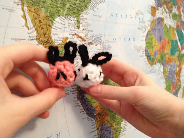 World Traveling Bunnies