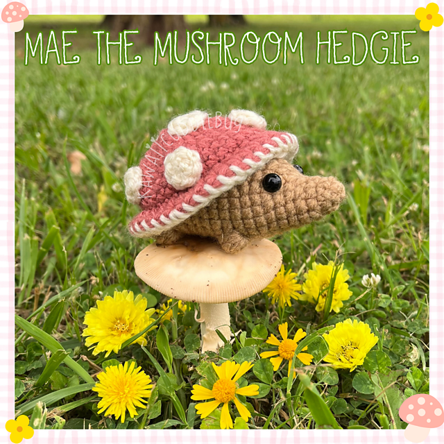 Mae the Mushroom Hedgie