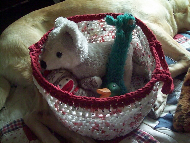 Tony's Toy Tote: Repurposed Plastic