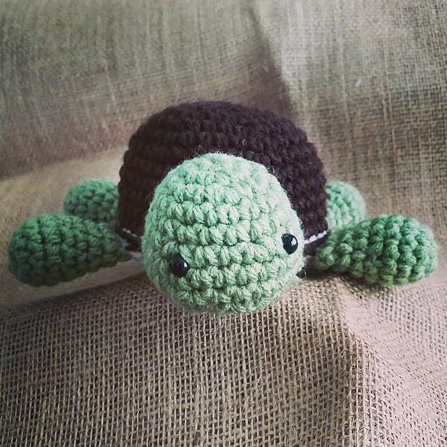 Small Turtle
