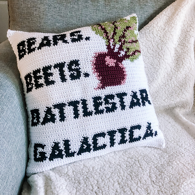 IDENTITY THEFT Pillow