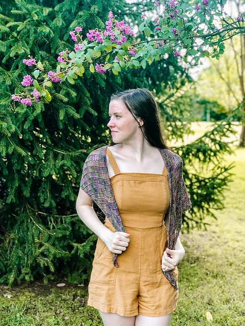 Dragonfly Shawl