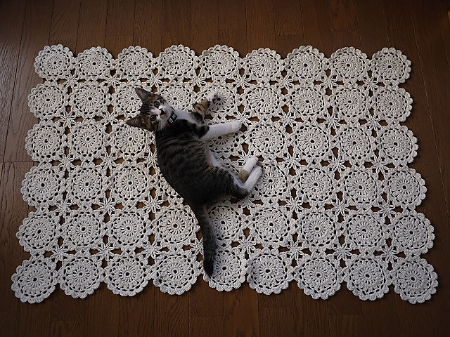 V. Blanket