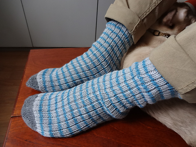 W. Striped socks(Men's)