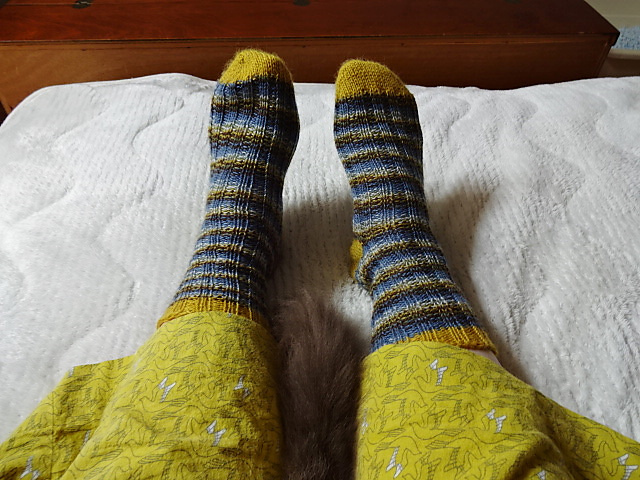 10. 2 color rib socks