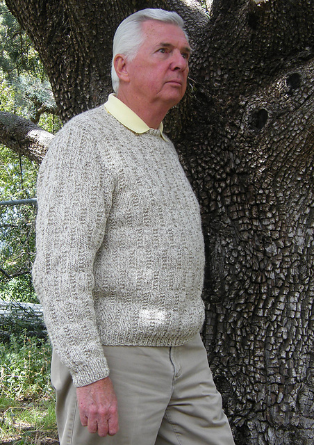 Skipping Stones Pullover for Men