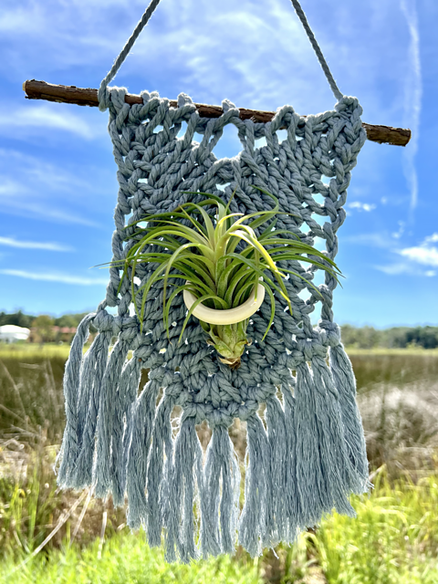 Tunisian Air Plant Wall Hanging