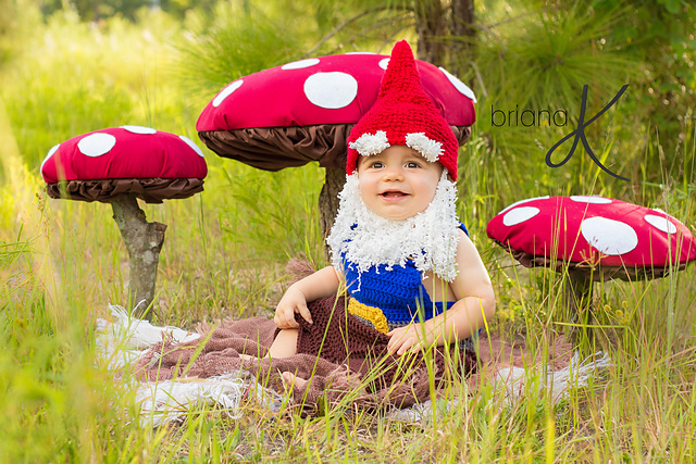 Gnome and Santa