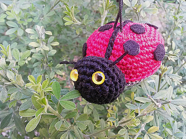 Ladybug amigurumi