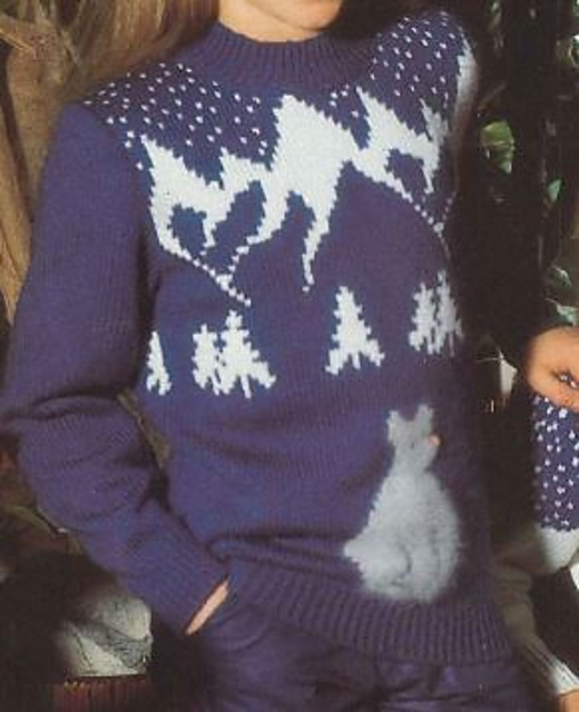 3833 Child's sweater with bear motif