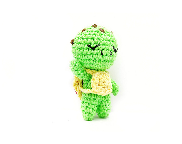 Mini Turtle