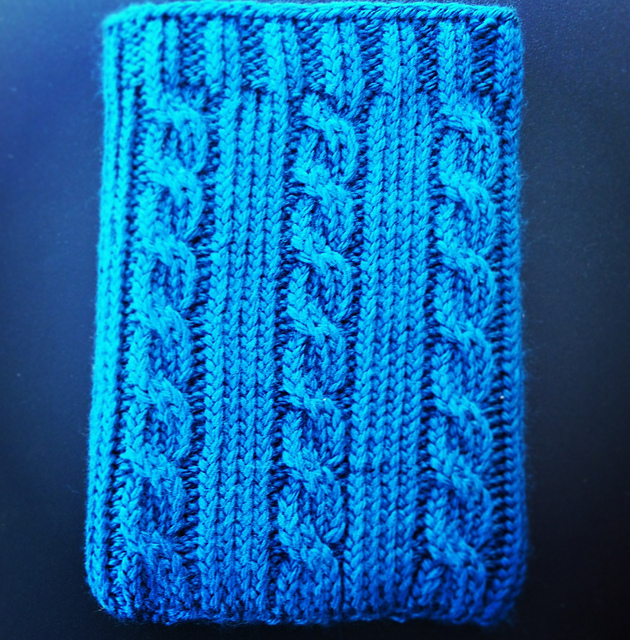 Kindle Paperwhite Case