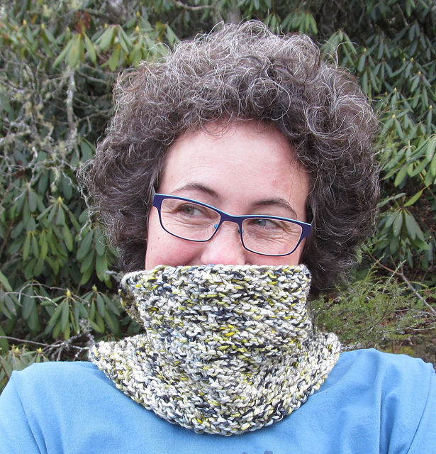 Taxi Cowl