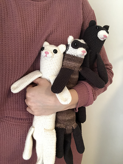 Ferrets