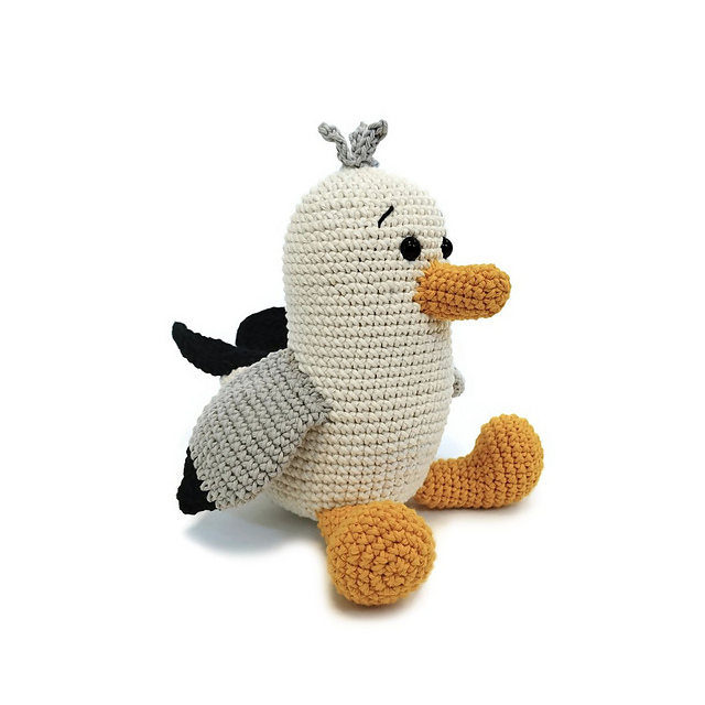 Scraps the seagull bird