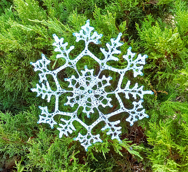 Heart of a Snowflake