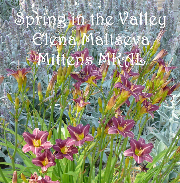Spring in the Valley Mittens and Mitts