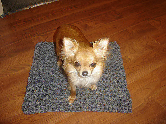 Double Crochet V Snuggle