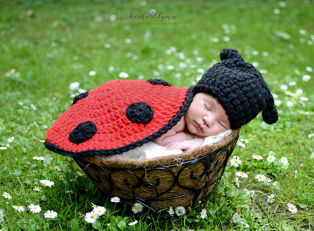 Ladybug Newborn Set Photo Prop