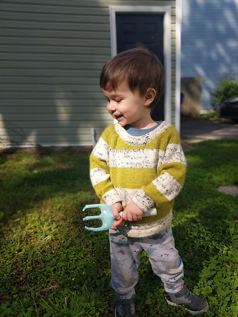 Toddler Top-Down