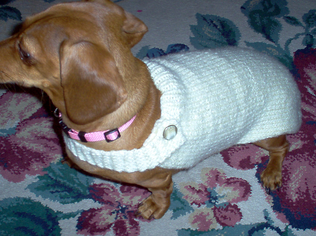 Dog Sweater