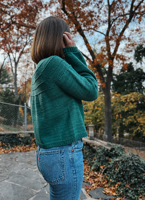 Adult Acorn Sweater