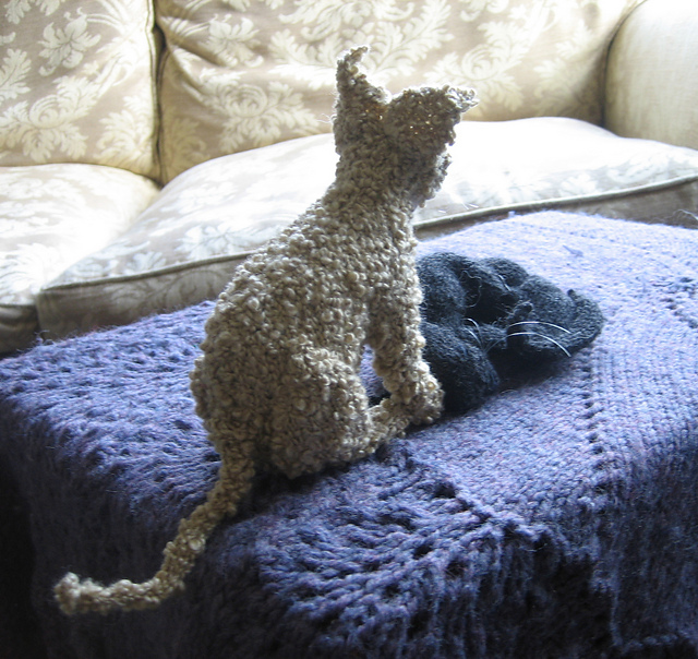 Devon Rex