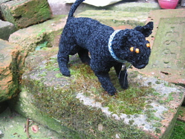 Black Cat Prowling