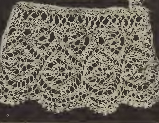 mechlin lace leaf and small flower