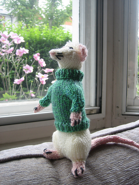Naughty Little Rats
